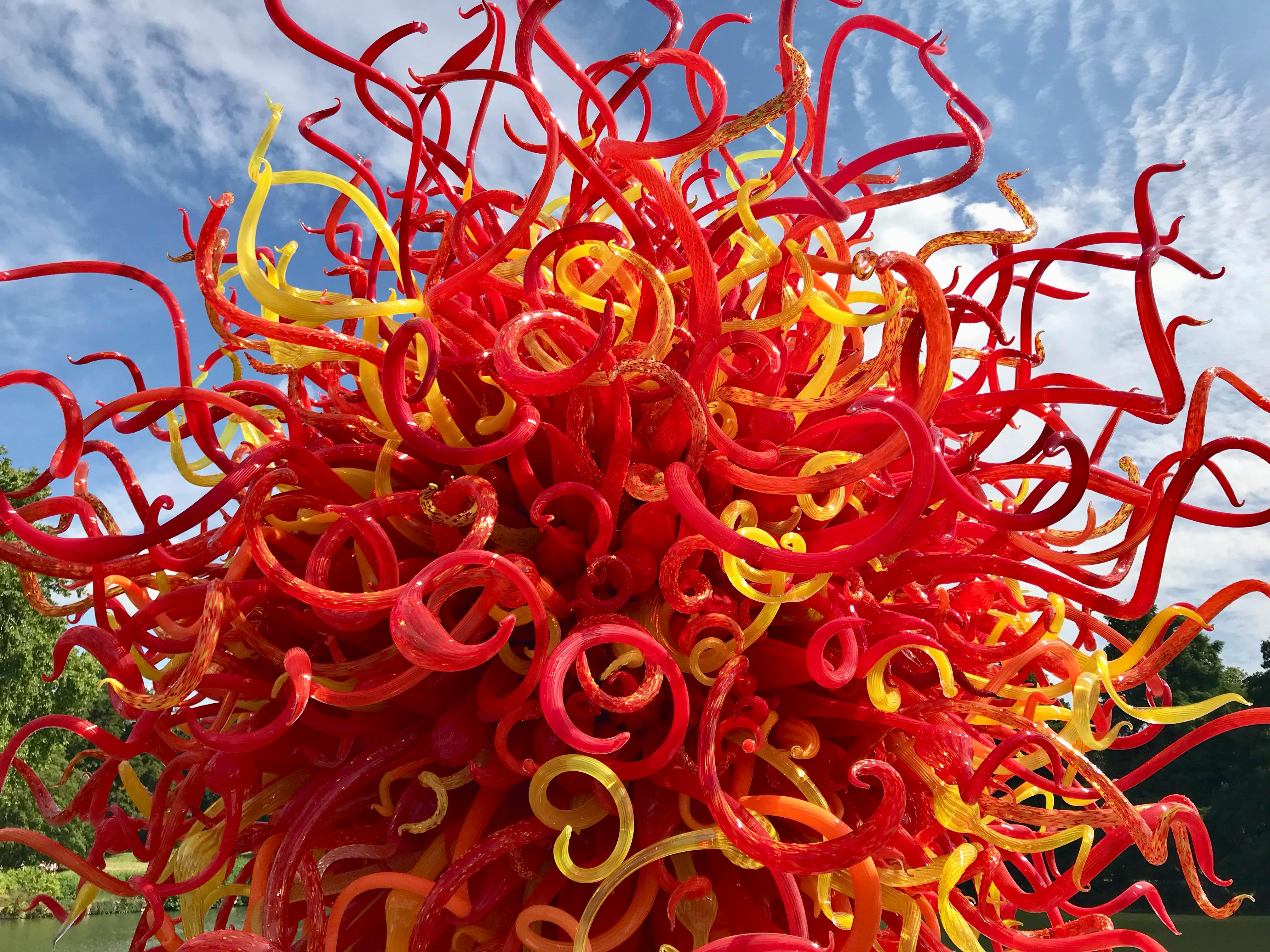 John Cameron Fotografie