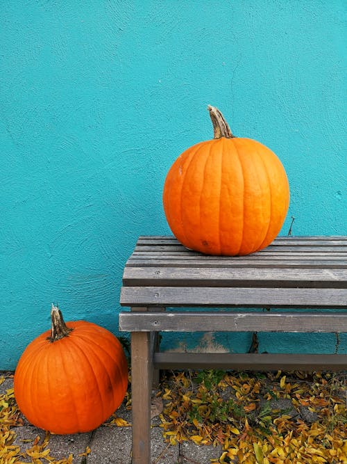 Orange Pumpkin on Brown Wooden Bench