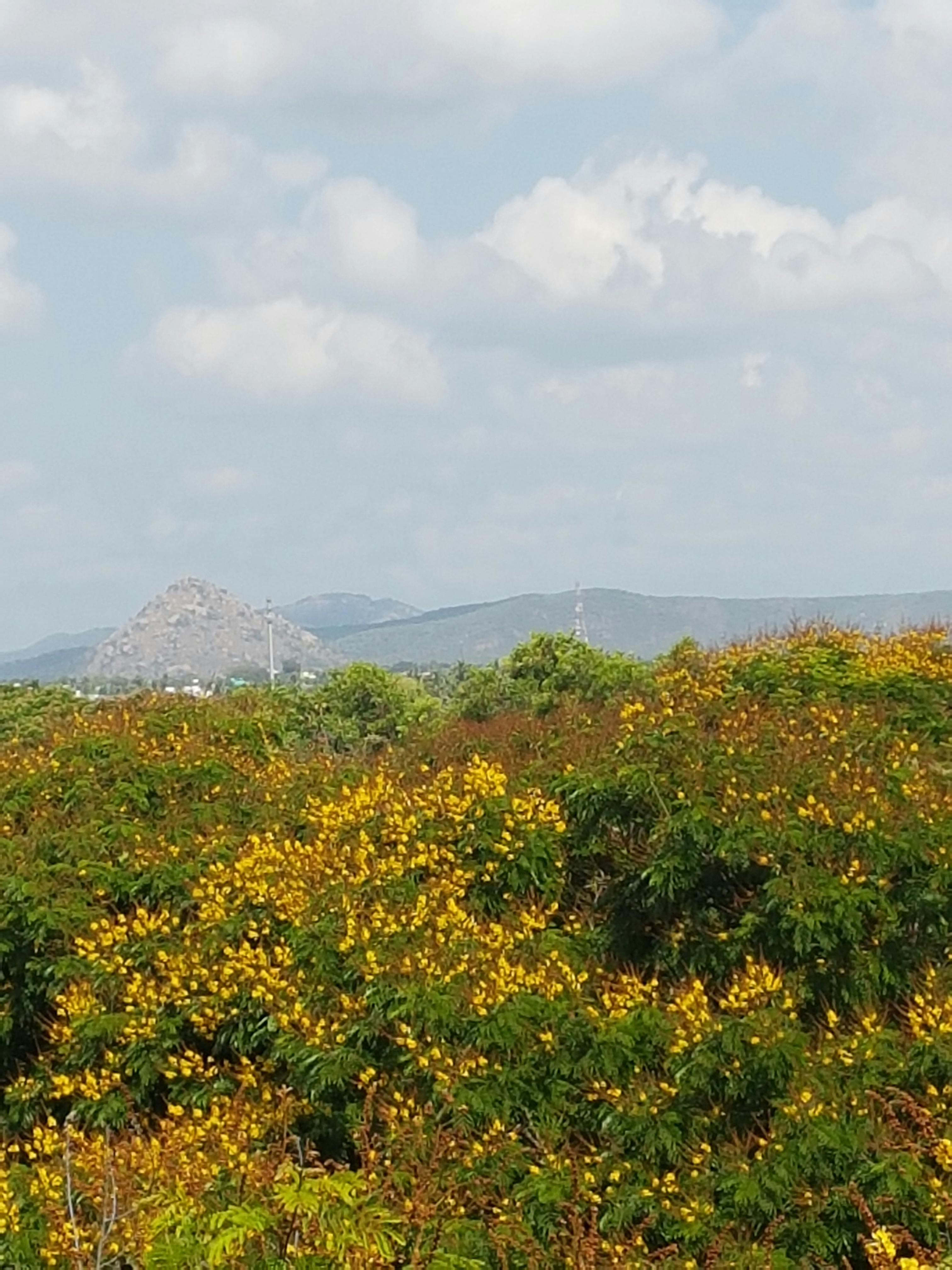 Free stock photo of Vellore Guest house window, View from VIT