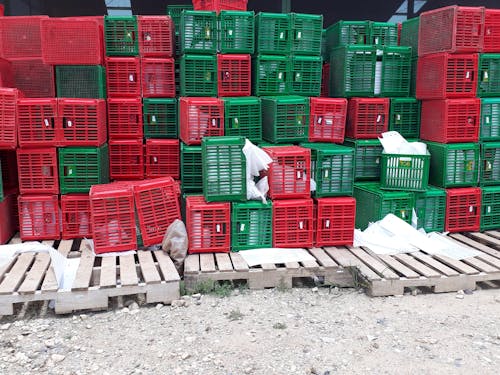 Red and Green Plastic Crates on Wooden Pallets