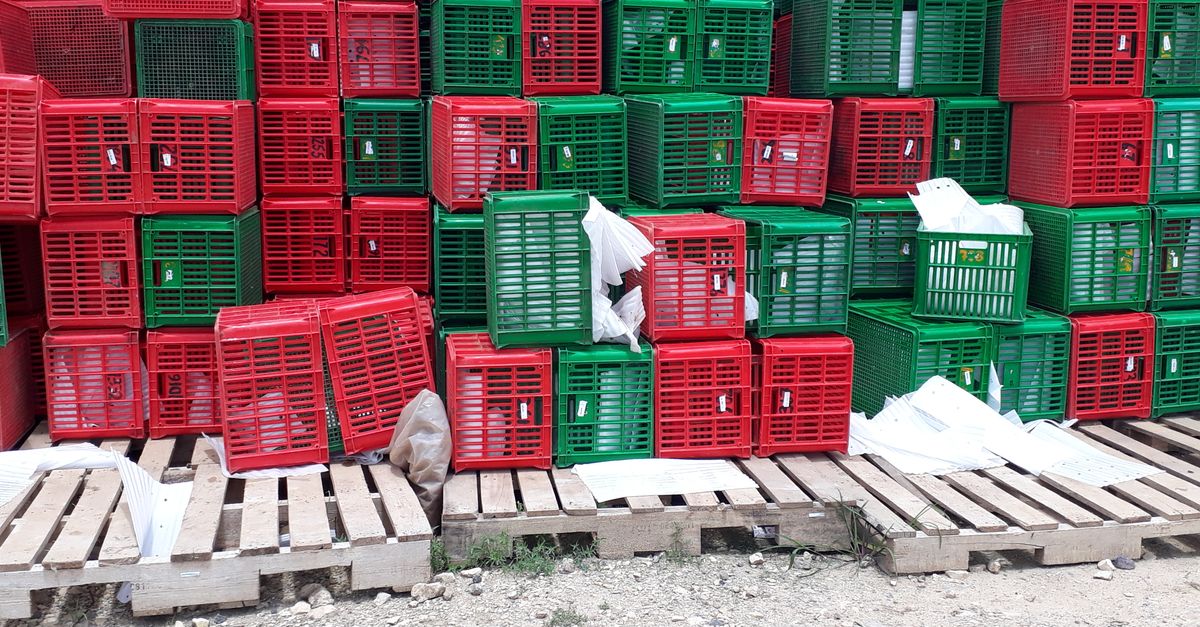 Pallets & Skids Vero Beach FL