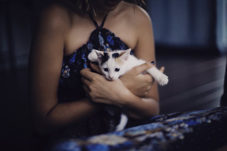 Woman Cuddling A Kitten