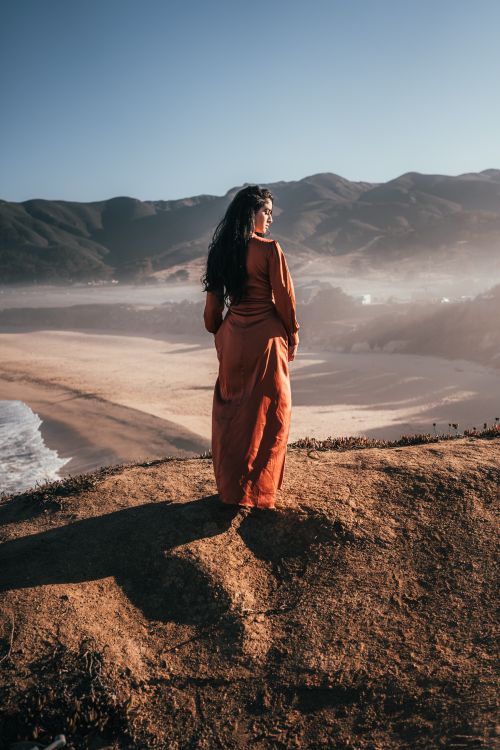 Rear View of Woman in Long Brown Dress Standing on Beach Free Stock Photo Rear View of Woman in Long Brown Dress Standing on Beach Free Stock Photo