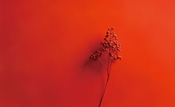 Vibrant red background featuring a delicate berry twig, a study in minimalism and bold color.