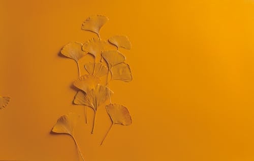 Orange Background with Leaves 