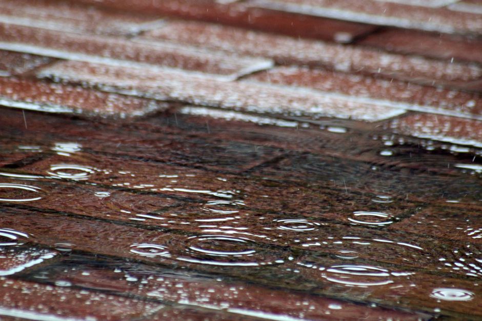 rain puddle on pavement close up