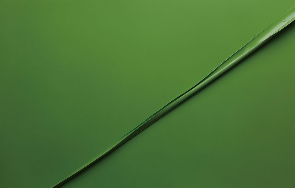 A simple and vibrant green background with a single leaf adding texture and interest.