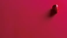 Dried Red Berry on Red Background