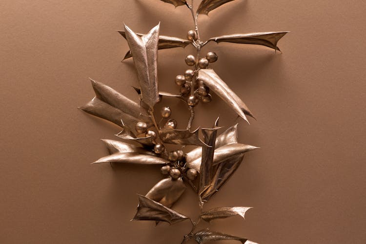 Golden Christmas Decoration From Holly Plant 