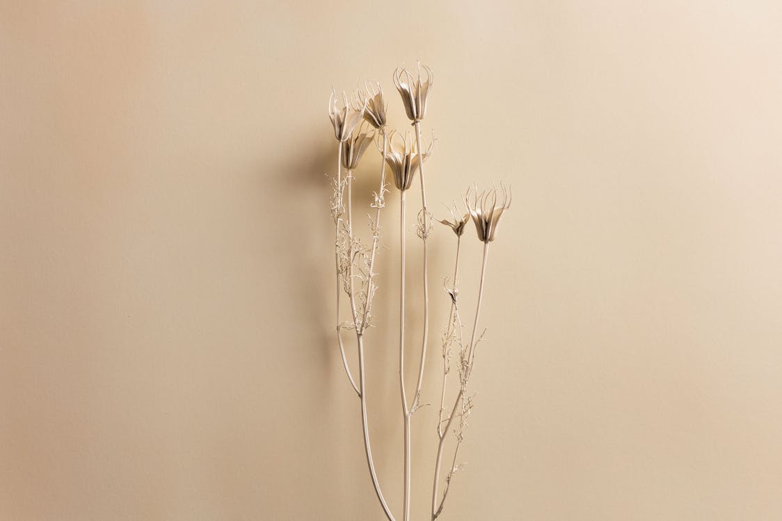 Premium Photo  Beige background with spring twig and shadows with copy  space