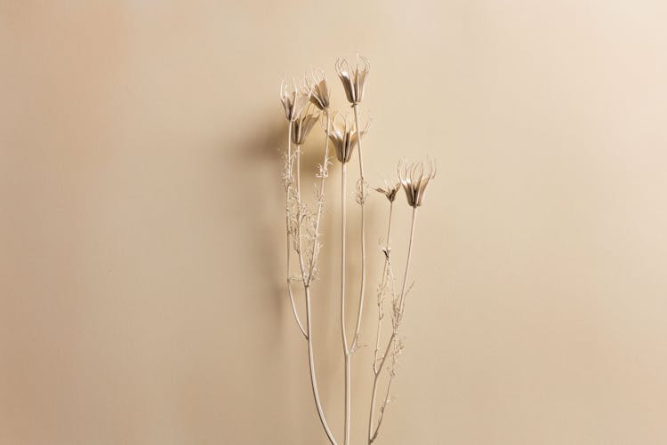 Dry Twig On Beige Background 