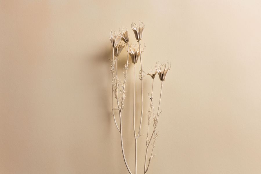 Dried flower stems against a warm beige wall — photo by le john on Pexels