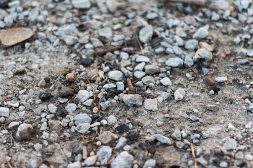 Free stock photo of pebbles, rocks, small rocks