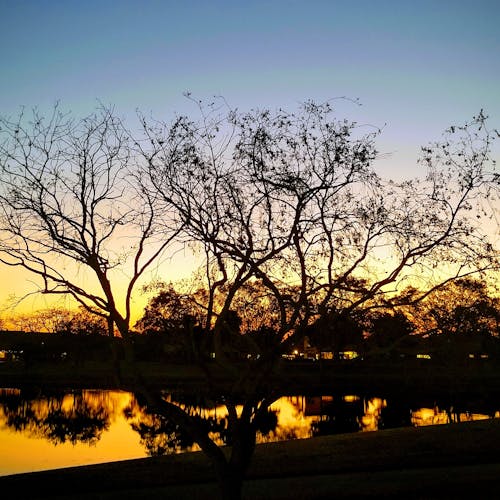 Kostnadsfri bild av solnedgång @ sjön
