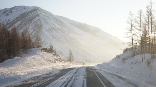 コールド, フォレス, 冬の無料の写真素材