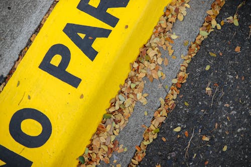 Yellow No Parking Pavement