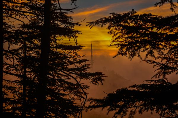 Himachal Trip - Activity & Sightseeing