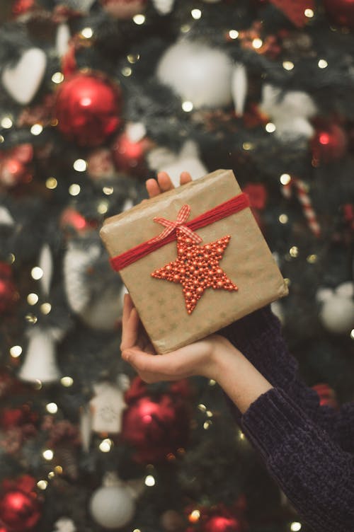 Hands Holding a Christmas Present 