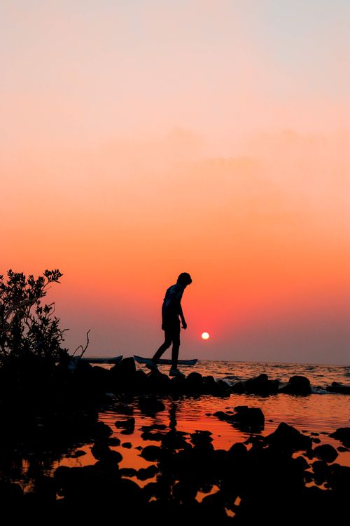 Free A person stands silhouetted against a vivid sunset at a rocky seashore. Stock Photo