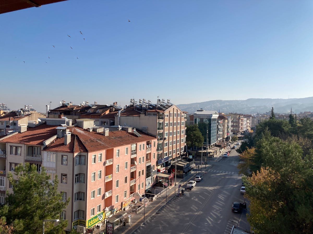 Mediterranean chicken and lentil bowl with colorful vegetables and sauce