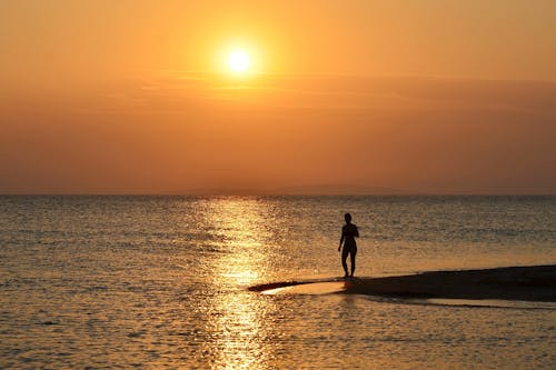 Silhouette of Person Standing on Beach during Sunset