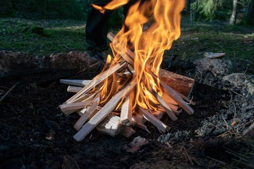 Foto Burning Woods Di Firepit
