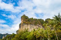 在泰国甲米，石灰岩悬崖与棕榈树构成壮丽景色，映衬着充满活力的天空