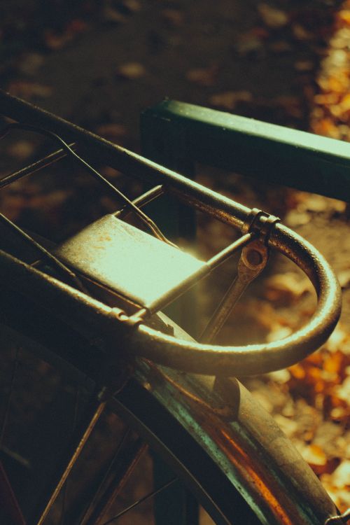 Free Warm autumn light illuminating a bicycle wheel and frame, capturing a nostalgic and serene mood. Stock Photo
