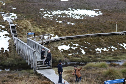 白雪皑皑的风景中，游客们走在木桥上