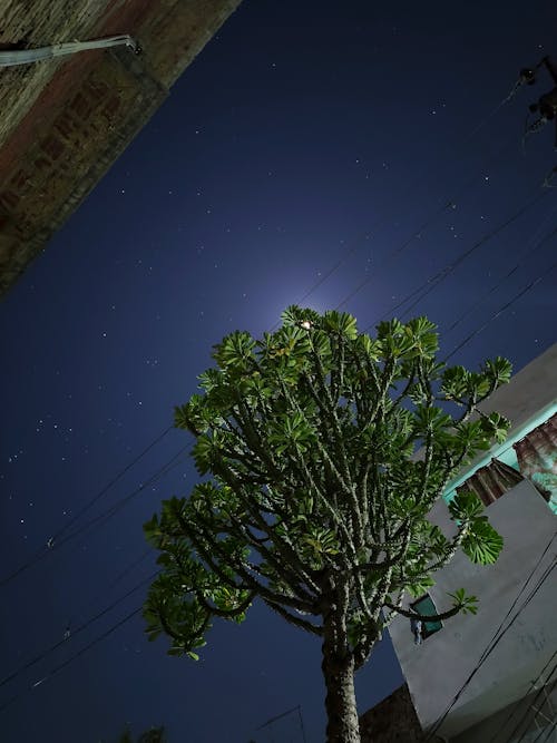 คลังภาพถ่ายฟรี ของ astrophotography, การถ่ายภาพกลางคืน