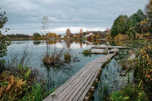 Wooden Bridge in Lake in Autumn Nature Landscape