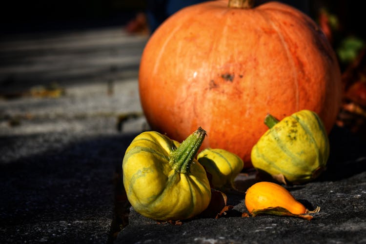 Orange And Ornamental Pumpkins 