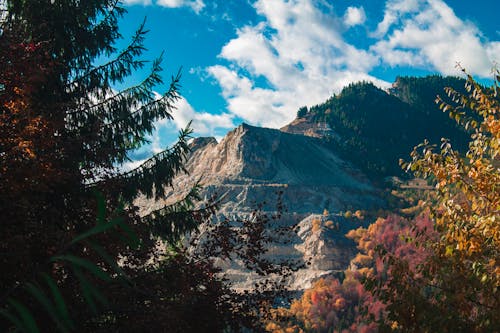 屋外, 山, 木の無料の写真素材