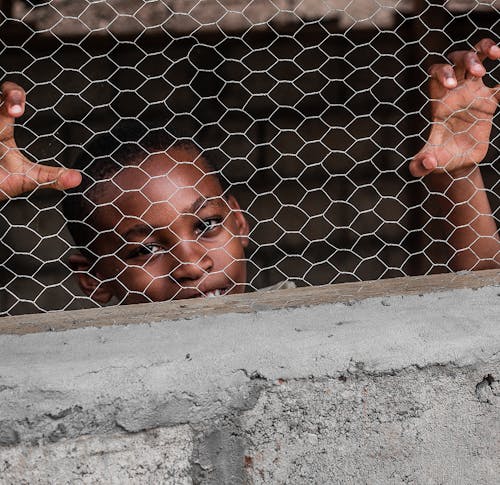 Základová fotografie zdarma na téma bariéra, chlapec, dítě