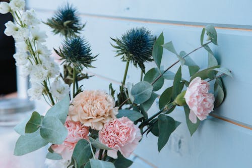 bitki örtüsü, çiçek buketi, çiçeklenmek içeren Ücretsiz stok fotoğraf