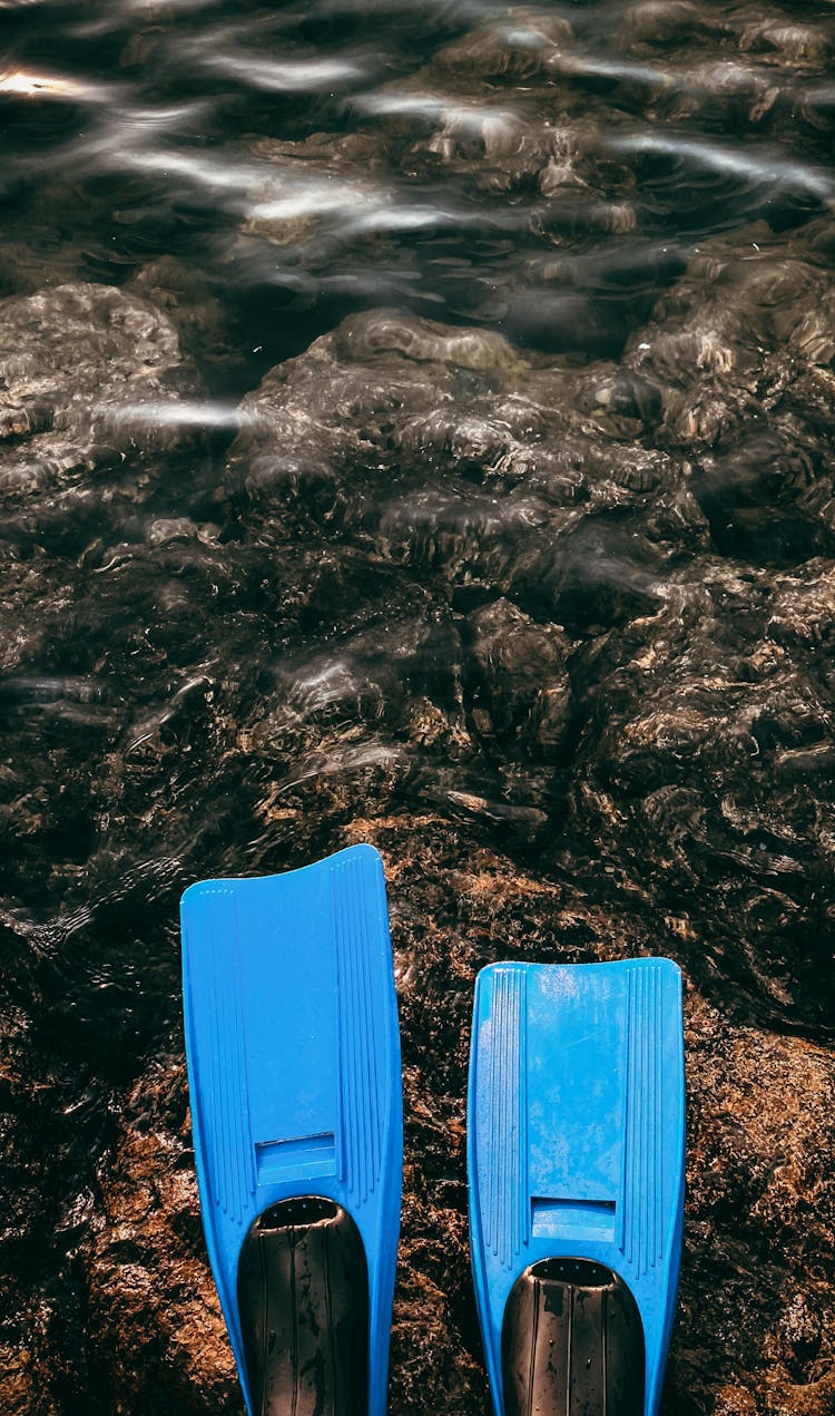 Swim Fins On A Rock 