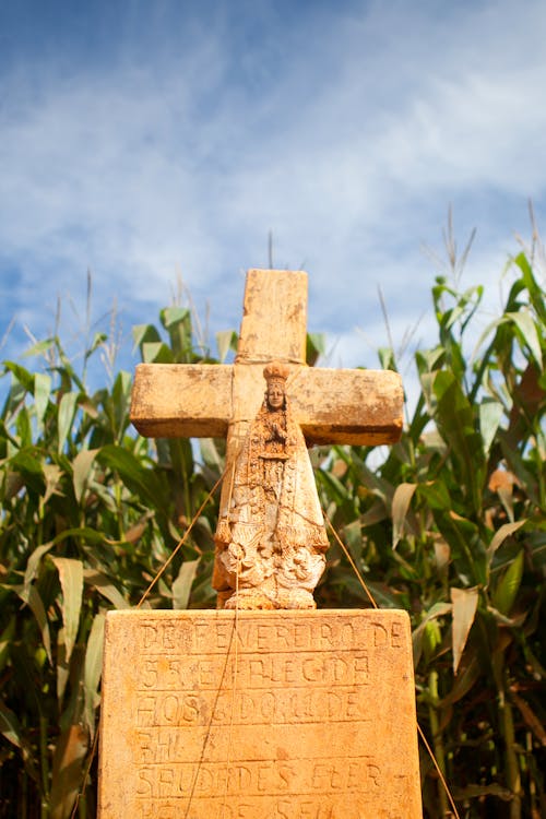 Foto d'estoc gratuïta de blau cel, creença religiosa, creu