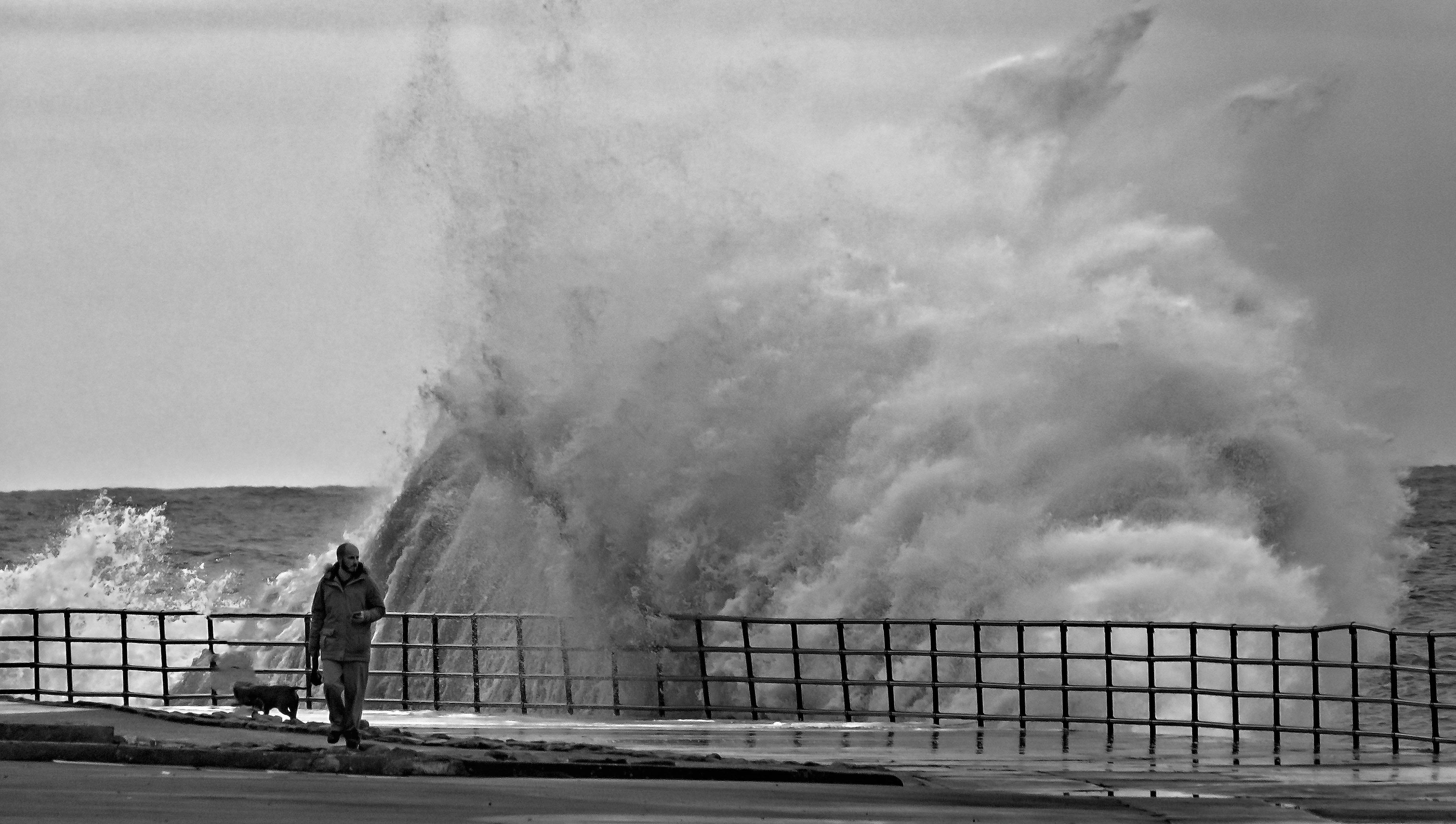 Big Waves Crashing on the Wooden Dock · Free Stock Photo