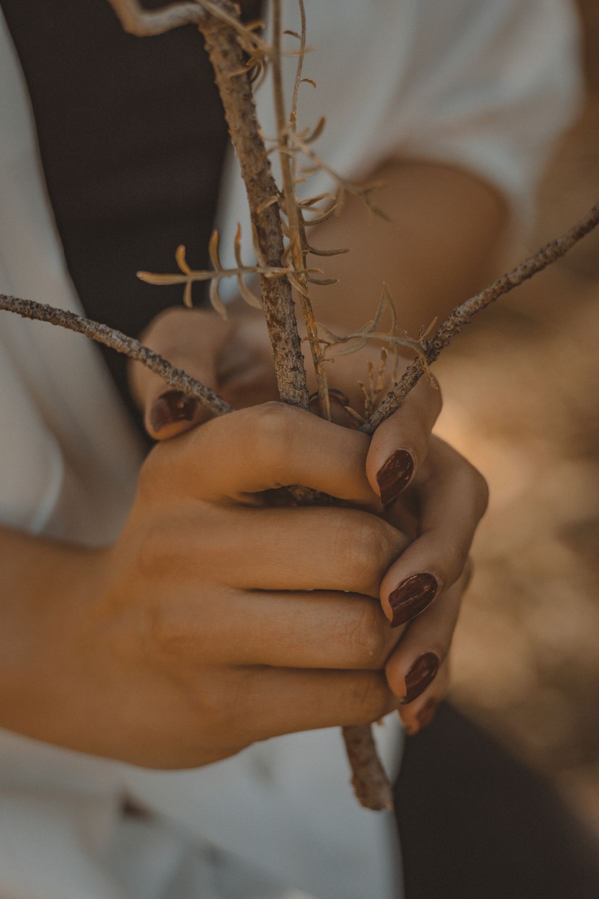 A close-up view of hands with dark nails holding dry branches, captured in a natural setting.