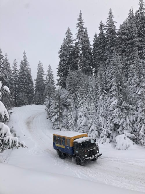 Gratuit Imagine de stoc gratuită din acoperit de zăpadă, arbori, camion Fotografie de stoc