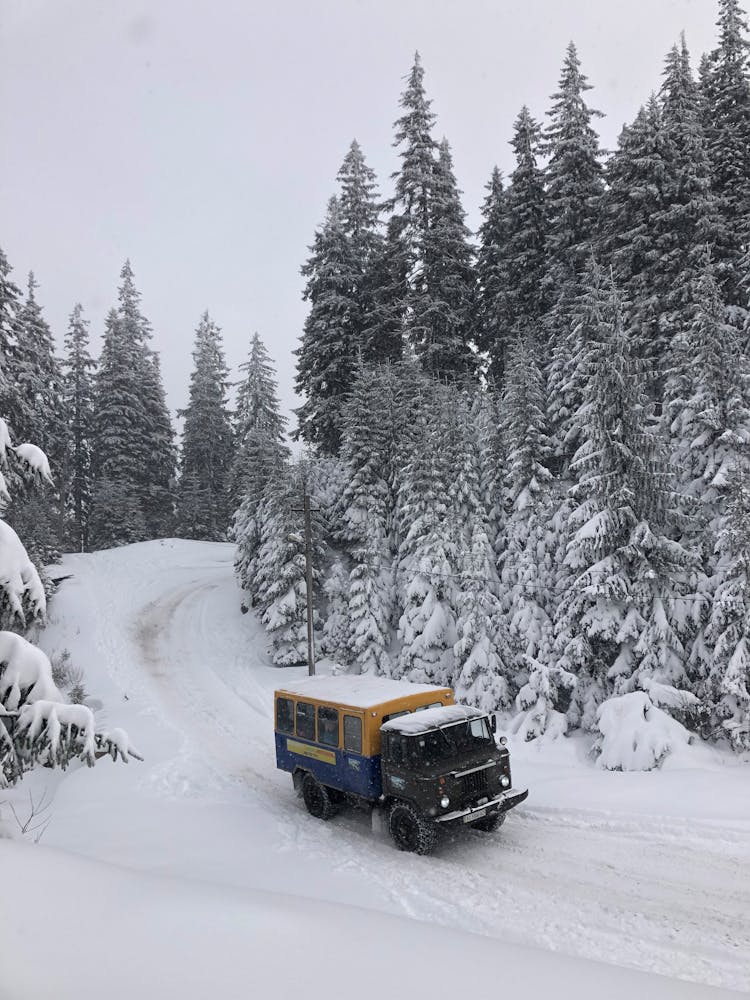 Truck On Snow Covered Road