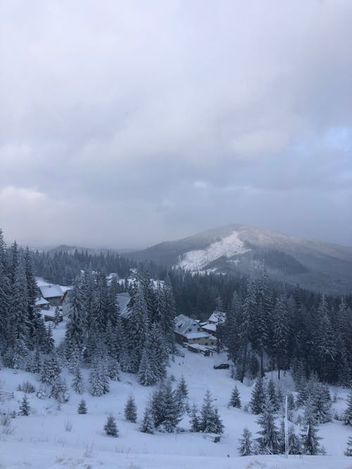 Aerial View of Mountains in Snow 