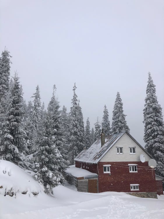 Red and White House Near Green Trees Covered With Snow