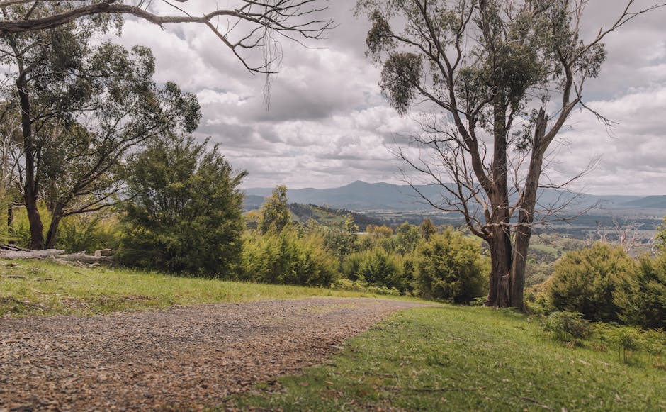 Off Road Explorers: Unveiling Hidden Wilderness Trails