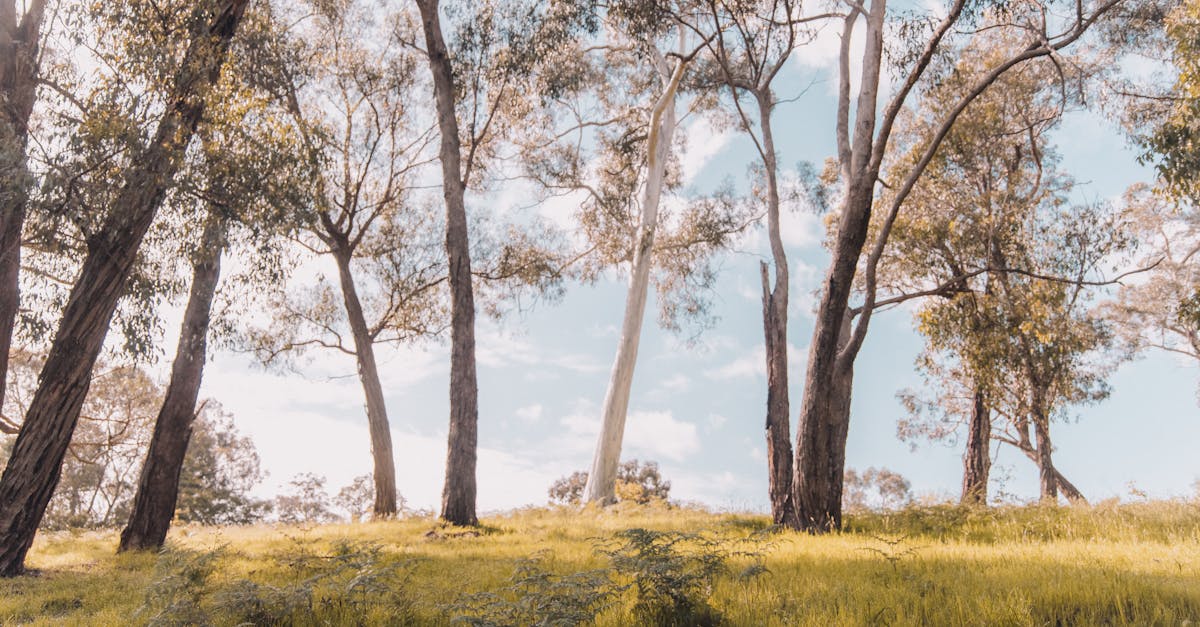 How To Pronounce Gruyã¨re Cheese 1 how to pronounce gruyère cheese