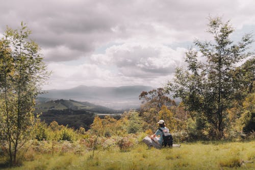 Back View Shot of a Man Sitting on the Grass Field