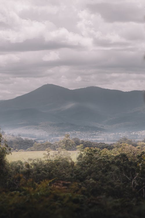 Gratis stockfoto met bergen, groene bomen, kalm