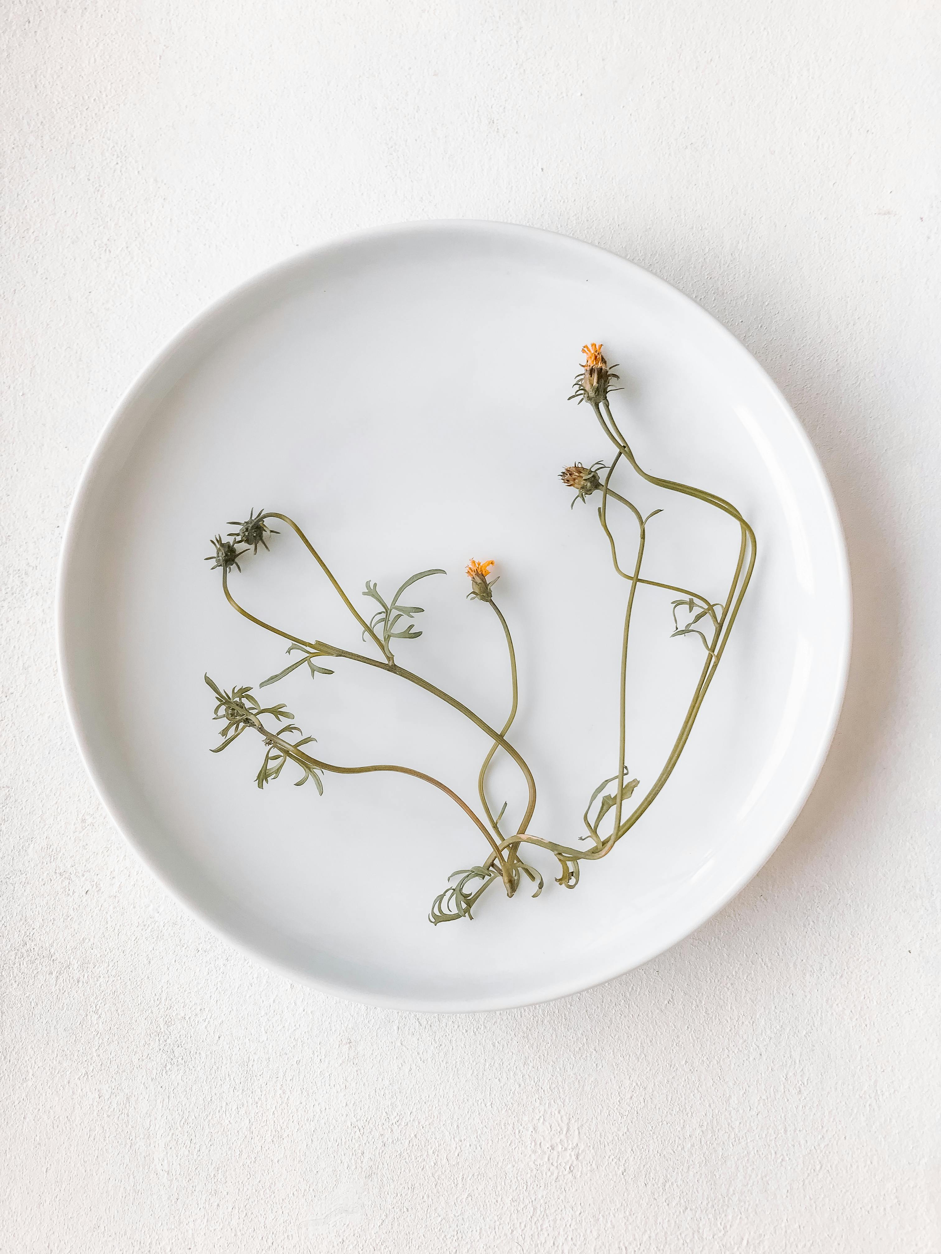 A serene and minimalist floral composition of delicate flowers on a white plate, captured in a clean and simple flatlay style.