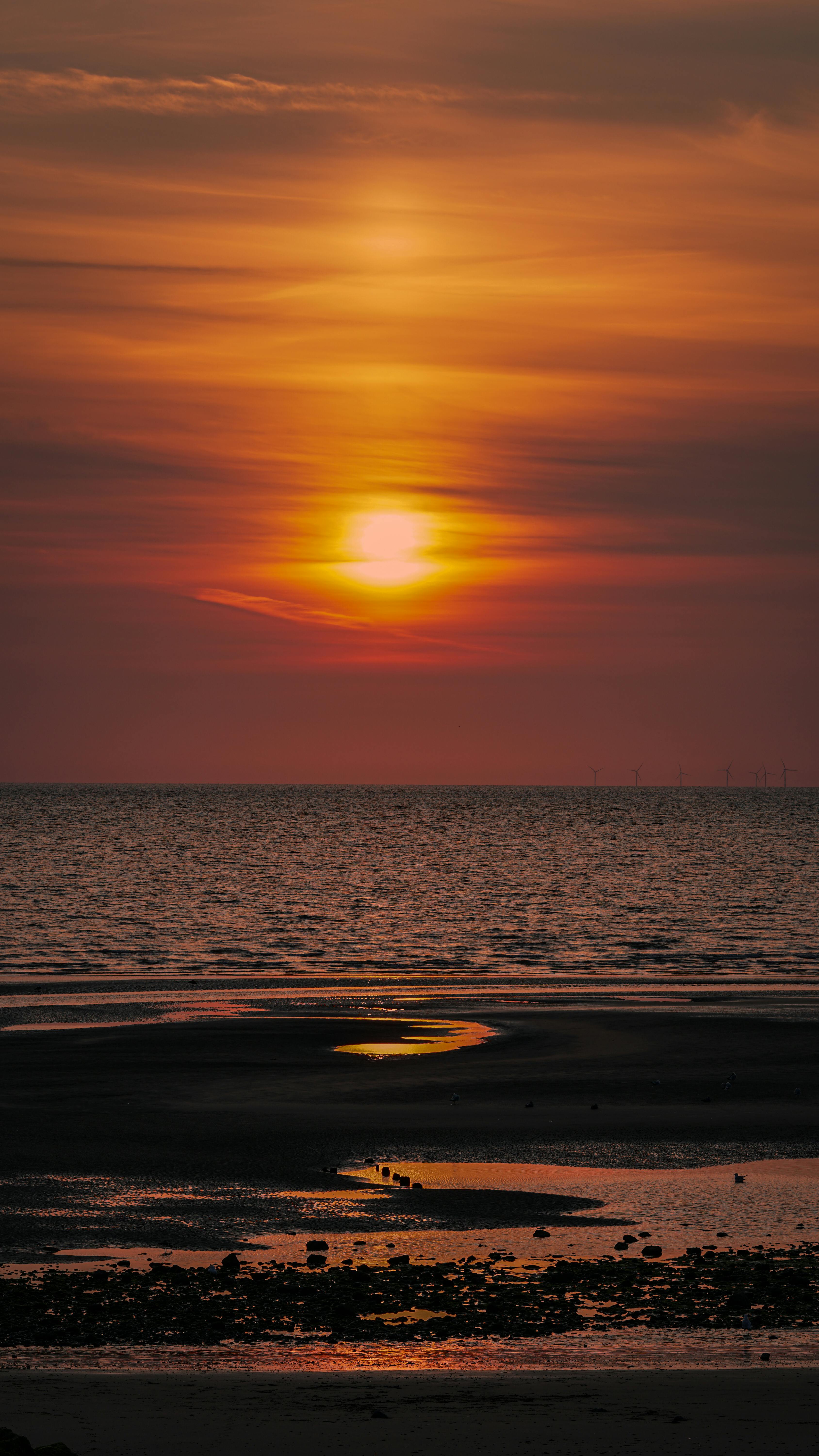 24 Hour Plumber near Cheviot Hills CA