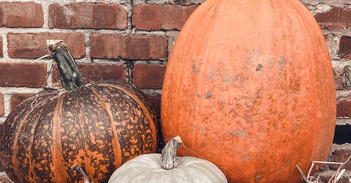 中大獎的秘密武器!🔑 圓臉小眼蒜頭鼻富人像大揭秘